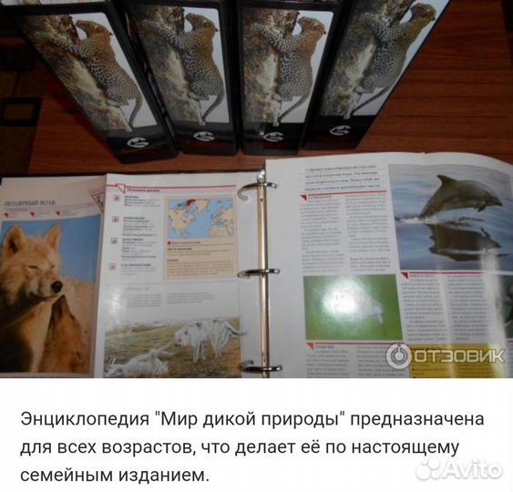 Энциклопедия в Мире дикой природы