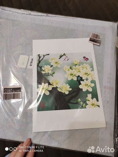 Канва с нанесенным рисунком