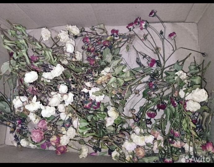 Розы сухие для творчества