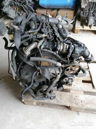 Двигатель Citroen Berlingo Peugeot Partner 1.6 HDI