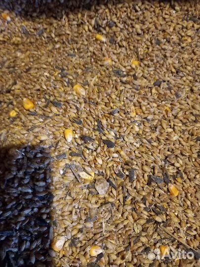 Кормосмесь универсальная для кур