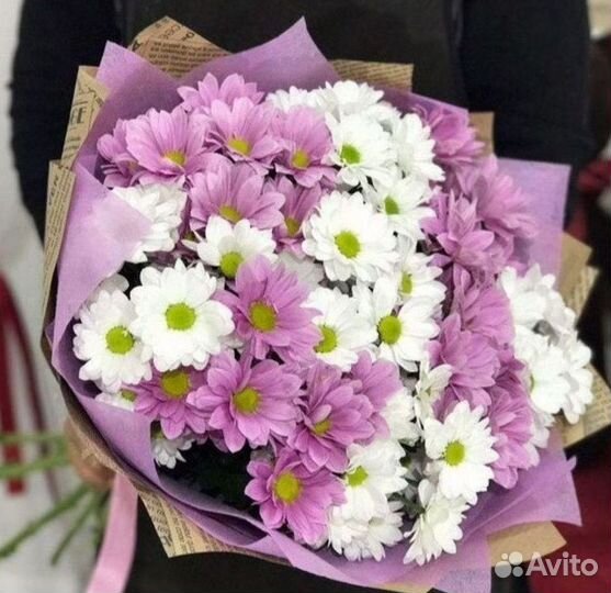 Букеты Цветы Хризантемы с доставкой