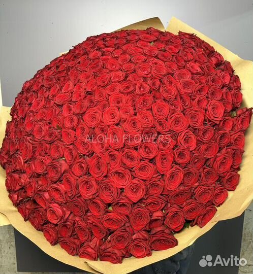 51 роза букет доставка