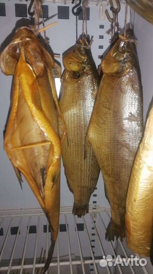 Рыба холодного копчения