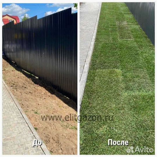 Рулонный газон, укладка, продажа