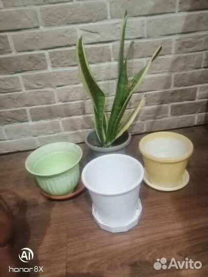 Горшки для цветов разные