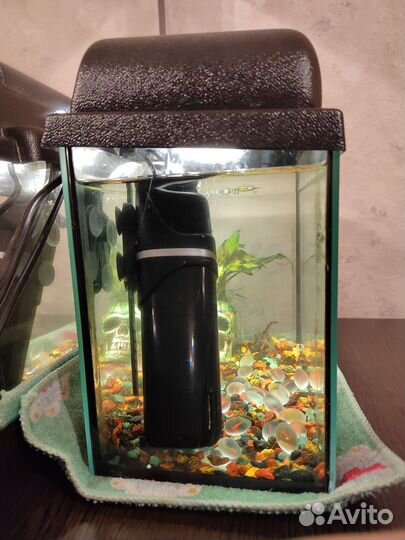 Аквариум 10л