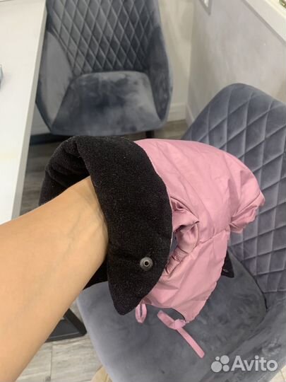 Одежда на чихуа