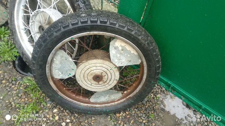 Dunlop Winter Maxx 185/65 R15 92H