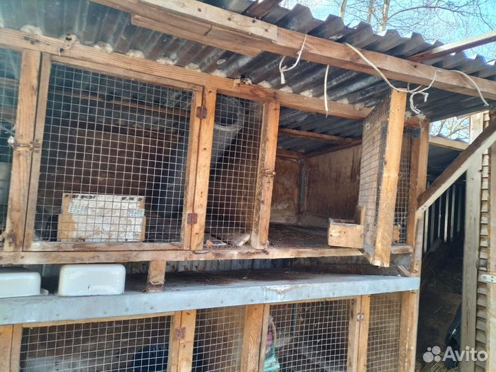 Клетка для кролика