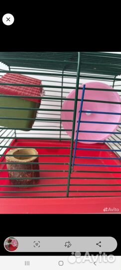 Клетка для грызунов