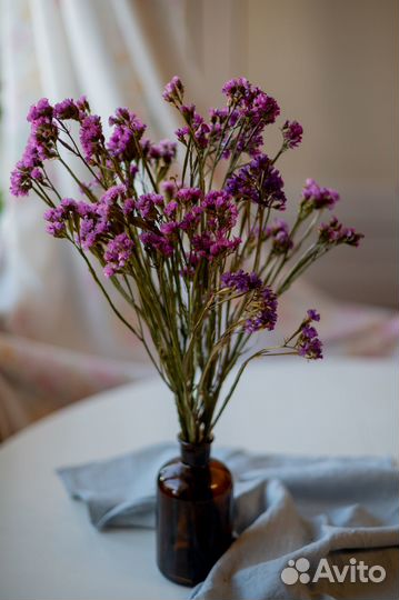 Статица стабилизированная