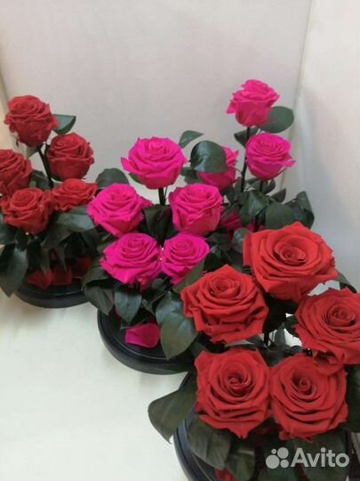 Цветы оптом