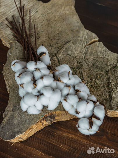 Хлопок дизайн