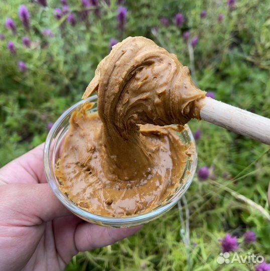 Дикий мед Башкирии