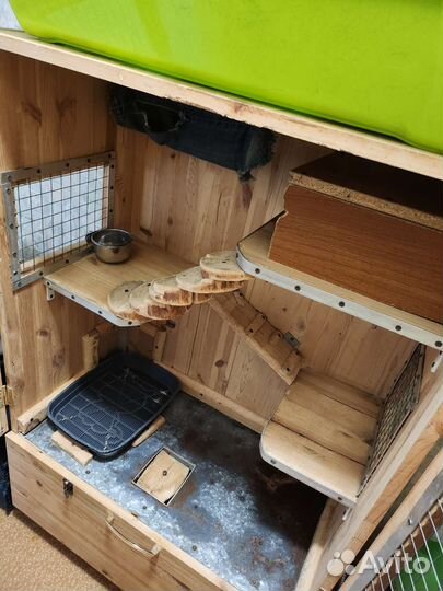 Витрина для шиншилл