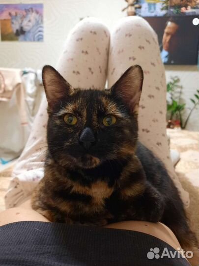 Девочка 10 месяцев