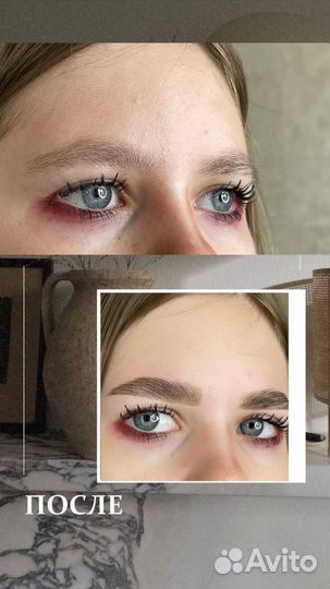 Мастер бровист