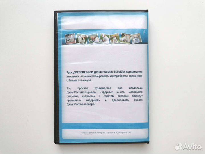 Курс дрессировки Джек рассел терьера DVD