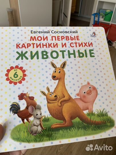 Книга для детей Мои первые картинки и стихи Робинс