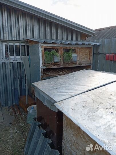 Клетки для кроликов