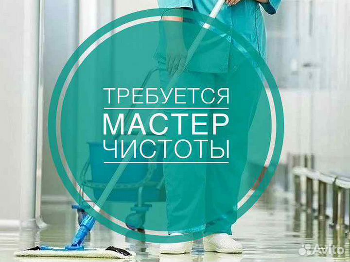 Мастер чистоты (ул.Осипенко 6)