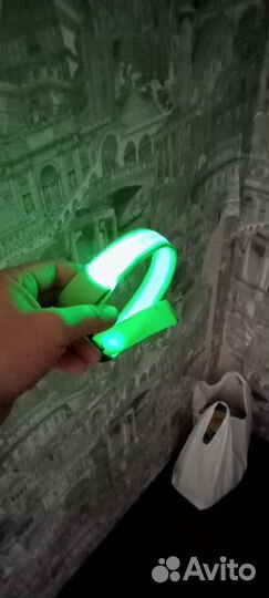 Светящийся ошейник и шлейки