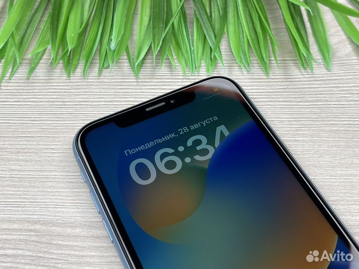 iPhone XR 64GB Blue