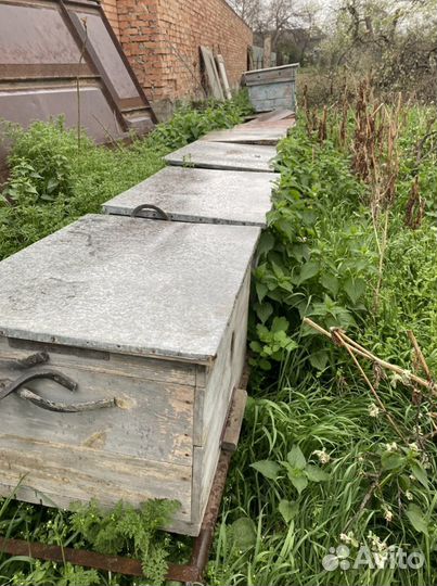 Ульи для пчел