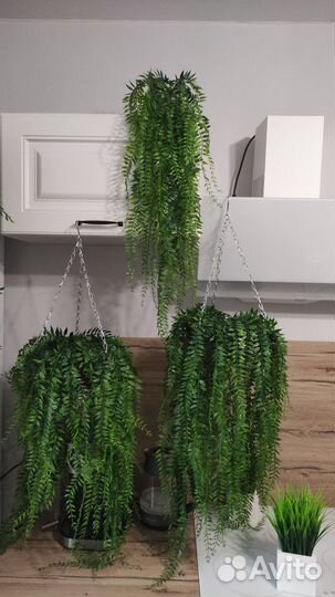 Искусственная зелень, подвесные сады