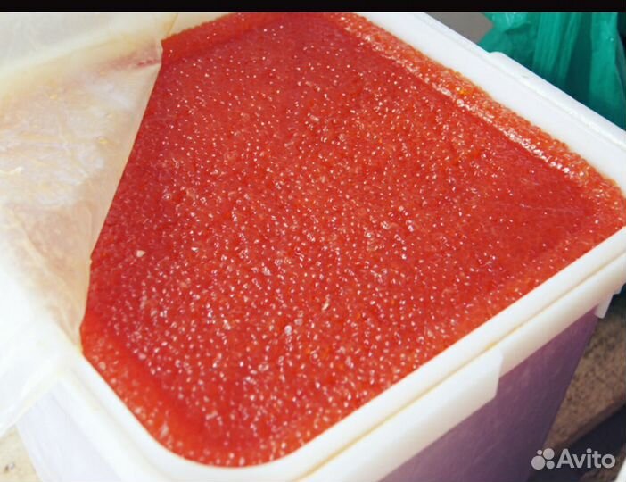 Красная Икра