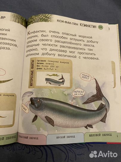 Энциклопедия 