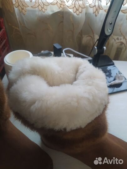 Сапоги женские