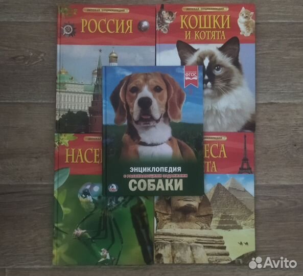 Детские книги энциклопедии 3+