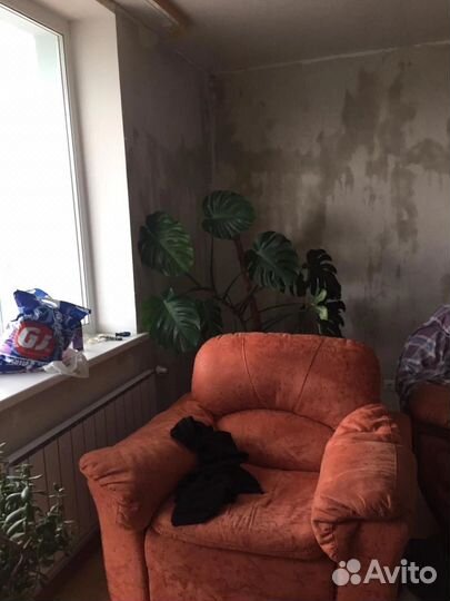 Поклейка обоев, ремонт