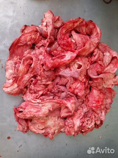 Техзачистка, еда для собак