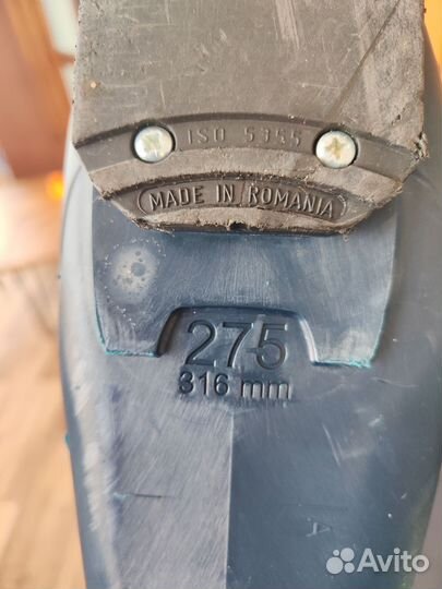 Горнолыжные ботинки