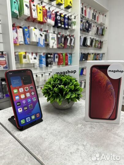 iPhone Xr, 64 ГБ