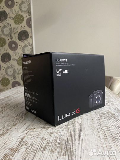 Panasonic Lumix DC GH5S