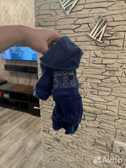 Костюм на маленькую собачку