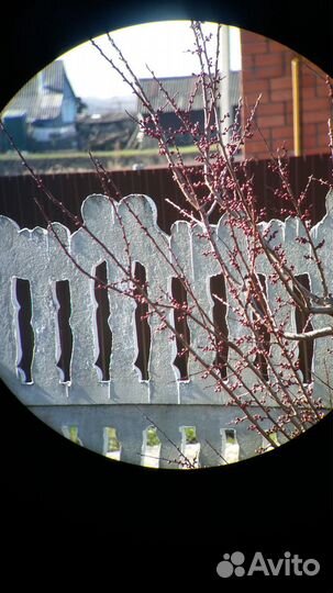 Бинокль Swarovski Pocket 8x20 Nabucco