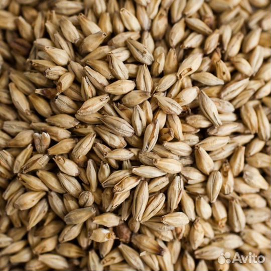 Солод ячменный светлый