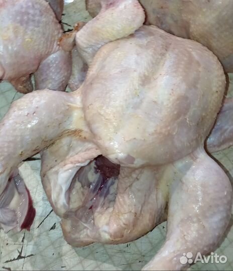 Куры домашние мясо