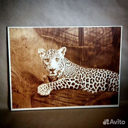 Пиропринтер Х новая версия