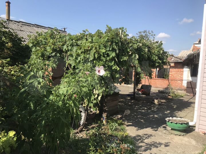 Дом 100 м² на участке 20 сот.