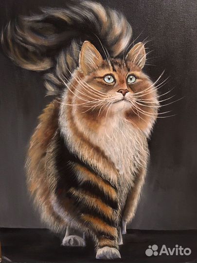 Картина масло кот кошка 40х50