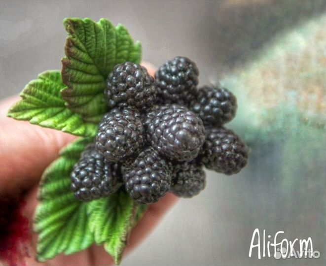 Силиконовая форма малина, ежевика с листьями