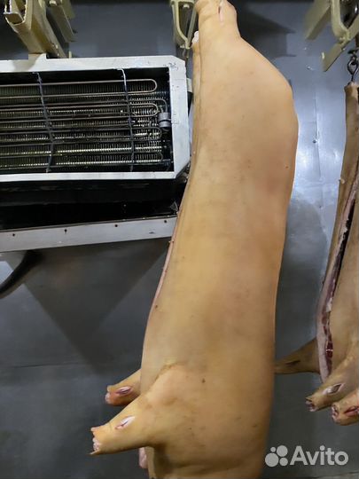 Мясо свинина домашняя