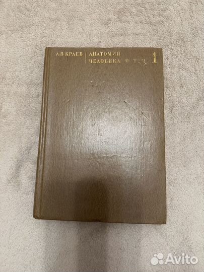 Анатомия человека А. В. Краев