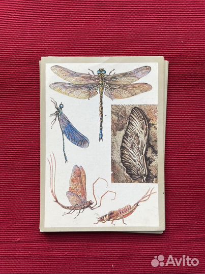 Открытки коллекционные винтаж 1983 СССР